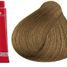 COLORATION IGORa ROYAL 8.00 - SCHWARZKOPF (60ML) COLORATION IGORa ROYAL 8.00 - SCHWARZKOPF (60ML)