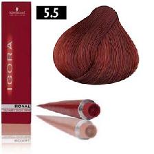 COLORATION IGORa ROYAL G4=5.5 - SCHWARZKOPF COLORATION IGORa ROYAL G4=5.5 - SCHWARZKOPF