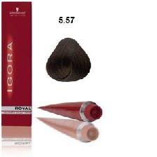 COLORATION IGORa ROYAL G5=5.57 - SCHWARZKOPF COLORATION IGORa ROYAL G5=5.57 - SCHWARZKOPF