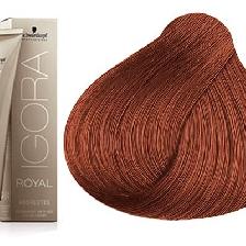 COLORATION IGORa ROYAL ABSOLUTES 6.70 -SCHWARZKOPF COLORATION IGORa ROYAL ABSOLUTES 6.70 -SCHWARZKOPF