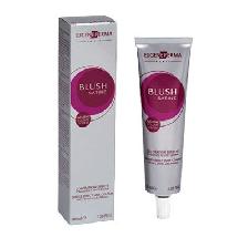 COLORATION BLUSH SATINE VIOLINE PROFOND (100ML) COLORATION BLUSH SATINE VIOLINE PROFOND (100ML)