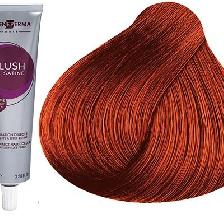 COLORATION BLUSH SATINE ROUGE CUIVRE - EP (100ML) COLORATION BLUSH SATINE ROUGE CUIVRE - EP (100ML)
