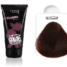 COLORATION FLASHY COLOR AUBERGINE (100ML) COLORATION FLASHY COLOR AUBERGINE (100ML)
