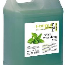 SHAMPOING MENTHE (5L) - FORMUL PRO SHAMPOING MENTHE (5L) - FORMUL PRO