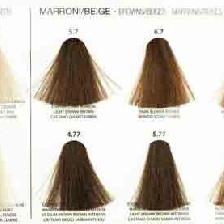 LIFE COLOR NUANCIER COMPLEMENT 11 MECH 2012-03 LIFE COLOR NUANCIER COMPLEMENT 11 MECH 2012-03
