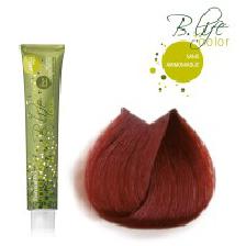 B-LIFE COLOR 7.66 SANS AMONIAC - FARMAVITa (100ML) B-LIFE COLOR 7.66 SANS AMONIAC - FARMAVITa (100ML)