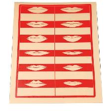 PLAQUE MAQUILLAGE 12 LEVRES IMPRIMEES PLAQUE MAQUILLAGE 12 LEVRES IMPRIMEES