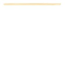 SPATULE CIRE X100 PM 138X5MM SPATULE CIRE X100 PM 138X5MM