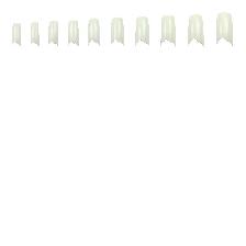 FAUX ONGLES SX100 FRENCH-8 BLANC - SINA FAUX ONGLES SX100 FRENCH-8 BLANC - SINA