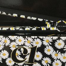 Corioliss C1 Daisy Titanium Corioliss C1 Daisy Titanium